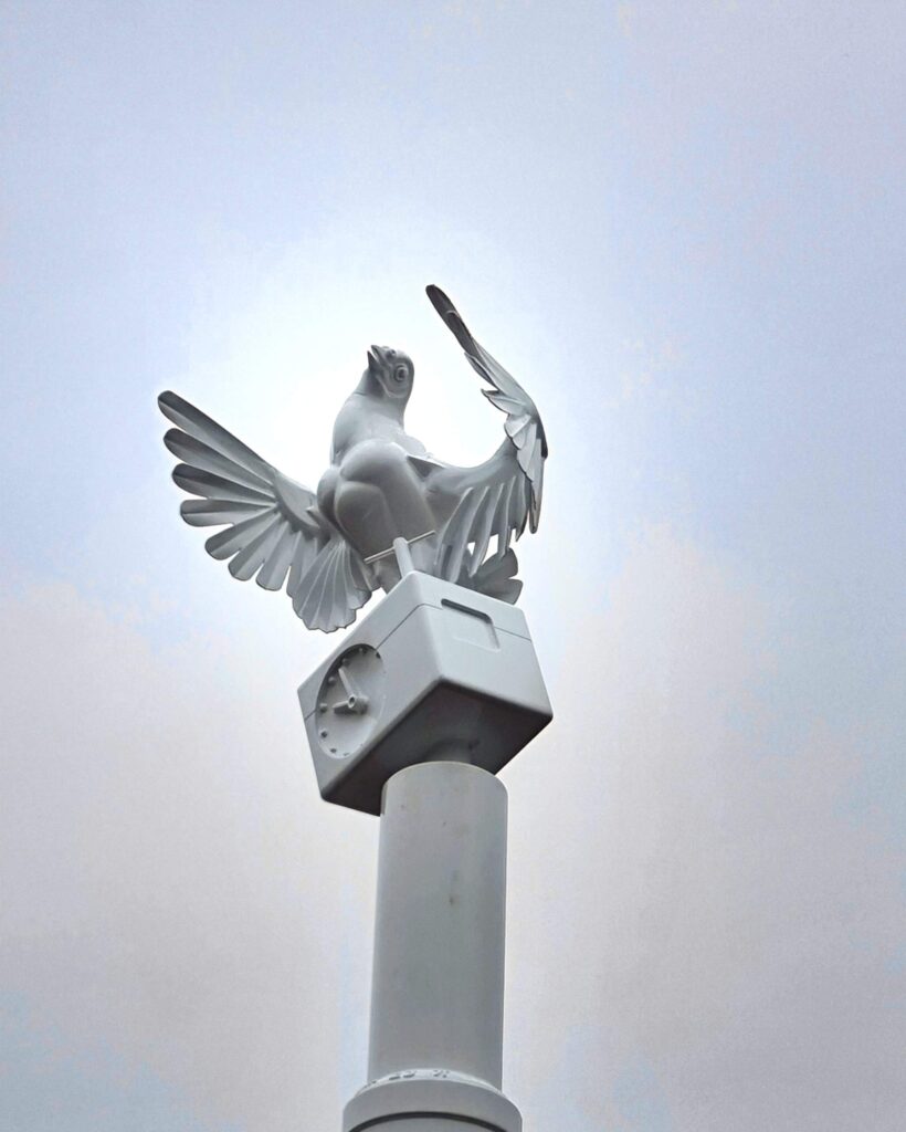 Het kunstwerk ‘De Duif’ is geland in De Nieuwe Stad