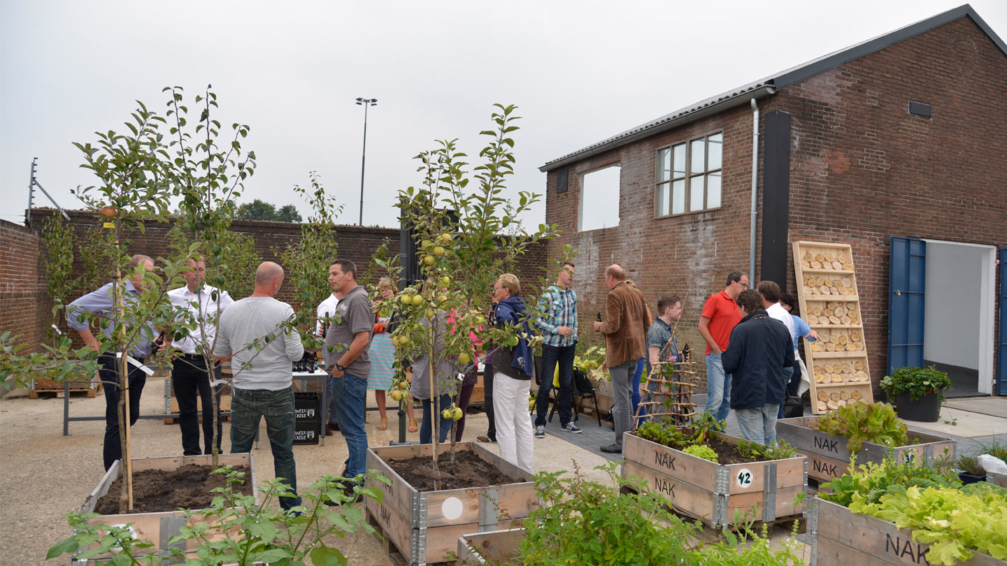 De Nieuwe Stad: gemaakt door de bewoners