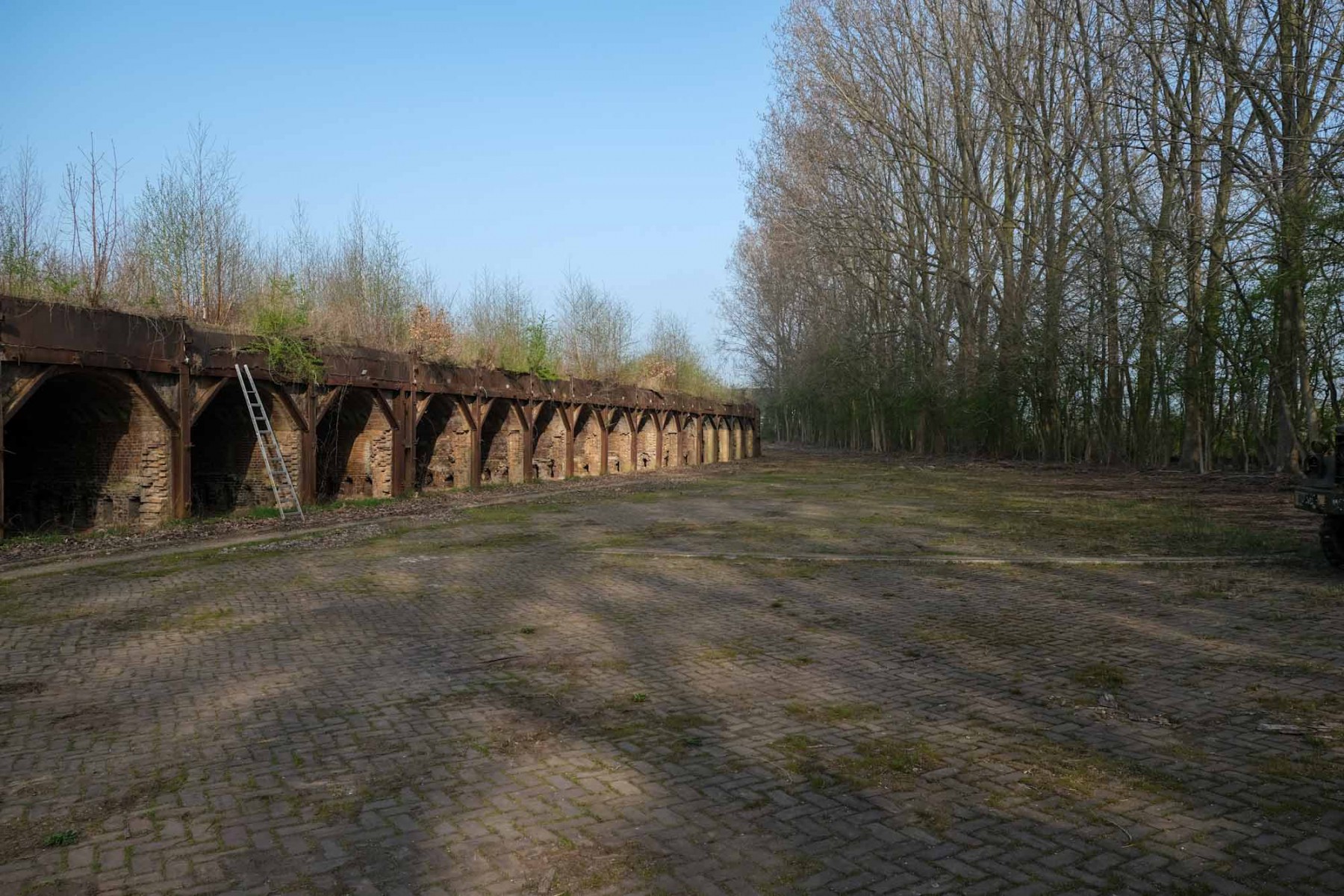 Schipper Bosch onderzoekt mogelijkheden woningbouw Reomie-terrein Ooij
