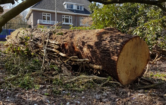 Met zijn allen aan het werk voor project OXT Sonsbeek 2016