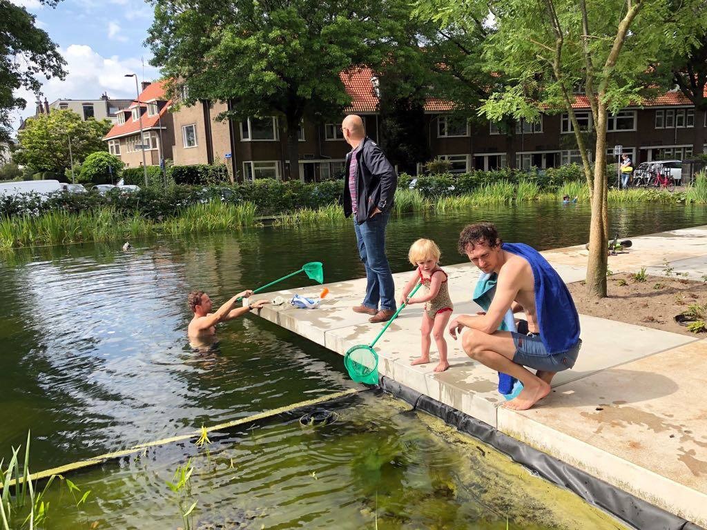 Wat zit er in de vijver van De Kleine Campus… allemaal beestjes.